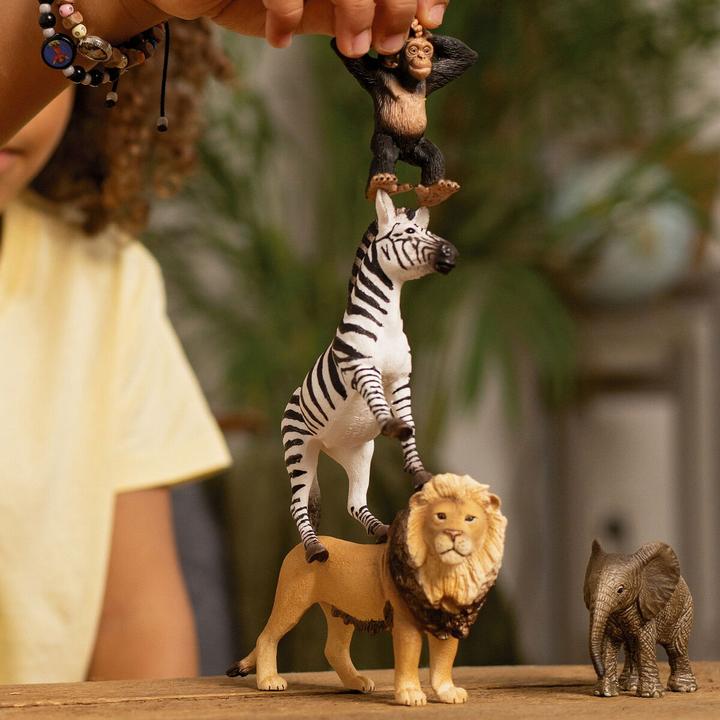 Produktbild Schleich Wild Life Afrika Starter-Set