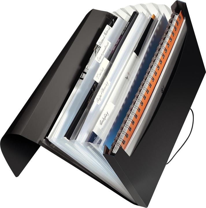 Image du produit Leitz Dossier de projet (A4, 1 x)