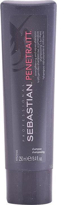 Produktbild Sebastian Penetraitt (250 ml, Flüssiges Shampoo)