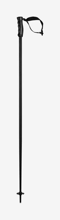 Immagine prodotto Head Testa del bastone da sci Multi 2024 (130 cm)