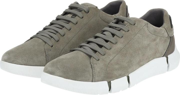 Actual product image Geox Sneaker (42)
