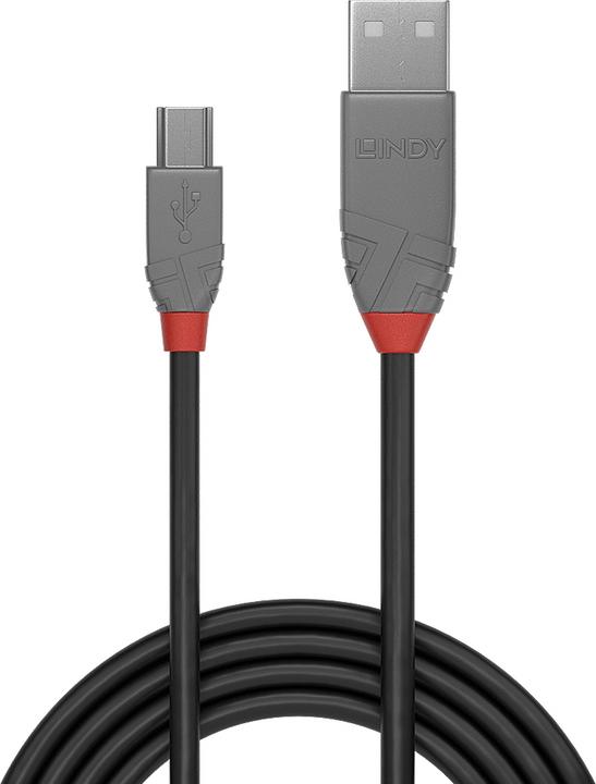 Actual product image Lindy USB 2.0 (0.50 m, USB 2.0)