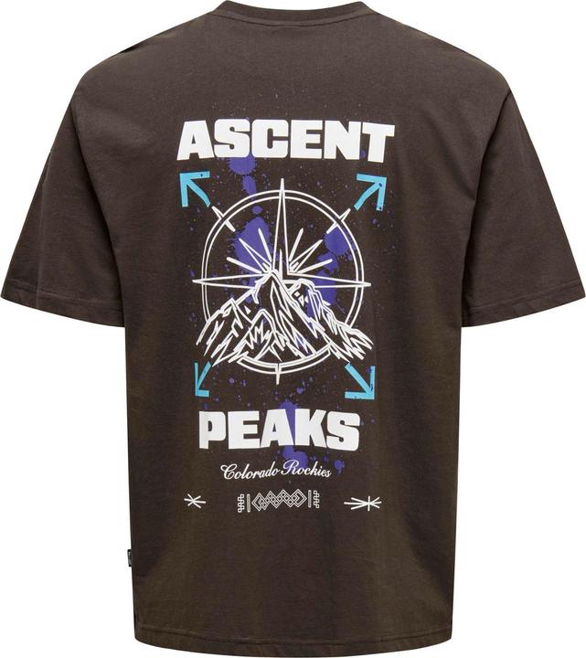 Produktbild Only & Sons Onskeane Rlx Ss Print Tee Noos (XL)