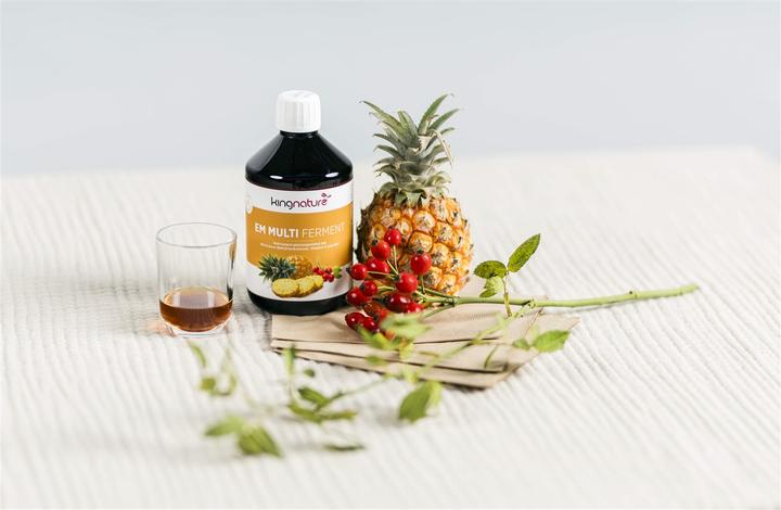 Actual product image Kingnature EM Multi Ferment (1 Piece, Liquid, 551 g)