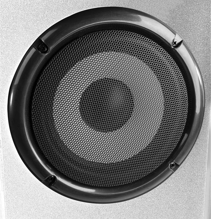 Immagine prodotto Fenton SHF700W (Passivo, 1x 30 W)