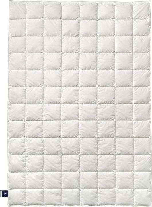 Produktbild Billerbeck Daunendecke Nena 306 Superlight extra leicht, Füllung: 100% Gänsedaunen (265 g, 155 x 220 cm)
