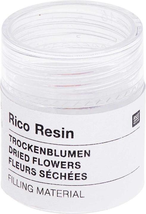 Actual product image Rico Design Filling material dried flowers pink,.500700 (Dried flowers)