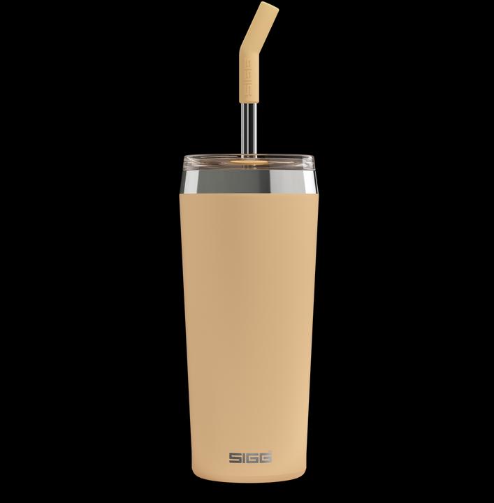 Image du produit Sigg Helia (0.60 l)