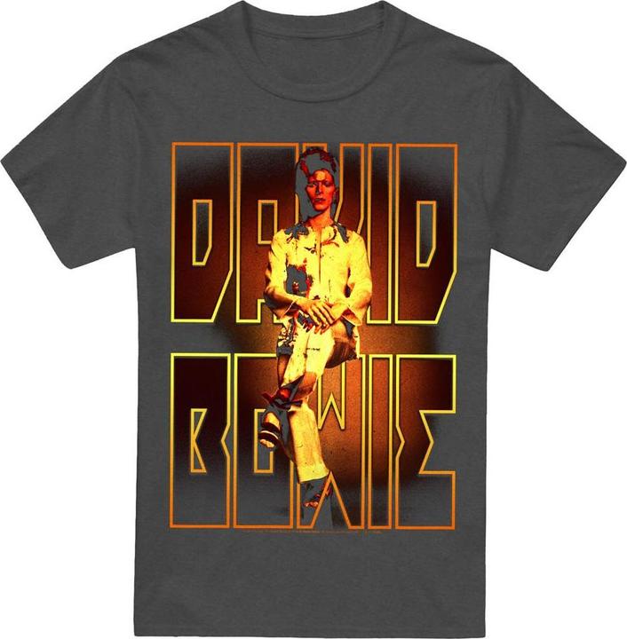 Produktbild David Bowie Perched TShirt (L)