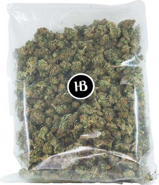 Produktbild Herba di Berna Harlequin (250 g, Indoor)