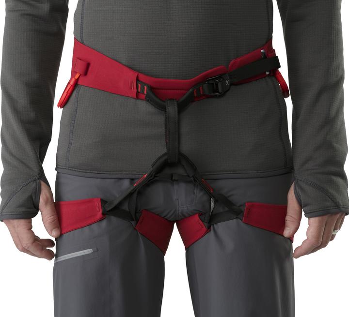 Actual product image Arc'teryx FL-365 Harness (XL)