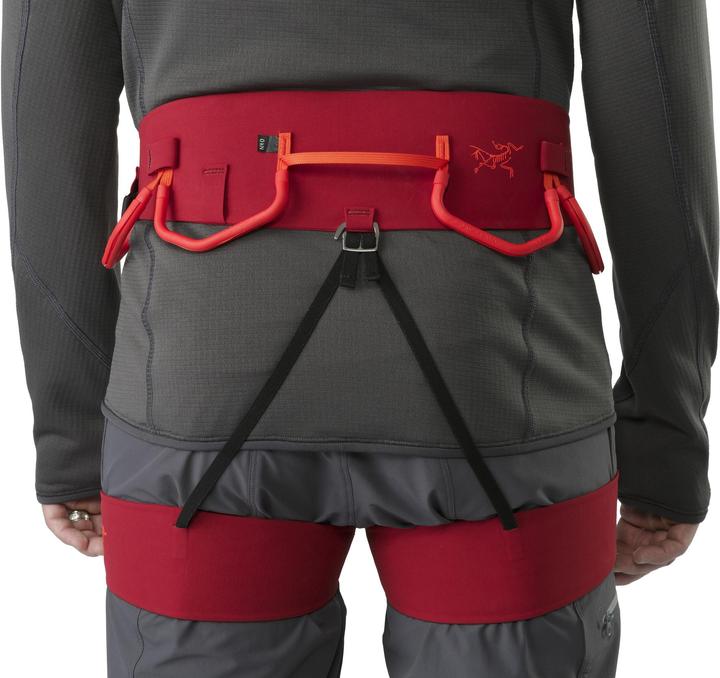 Actual product image Arc'teryx FL-365 Harness (XL)