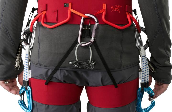 Actual product image Arc'teryx FL-365 Harness (XL)