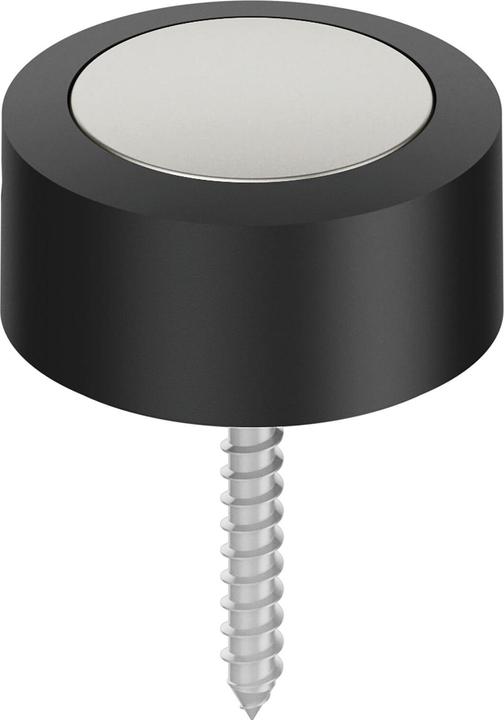 Image du produit FSB Butoir de porte au sol 38 3878 Ø 48 mm hauteur 24 mm aluminium naturel / F1 montage par chevilles (1 pièce(s))