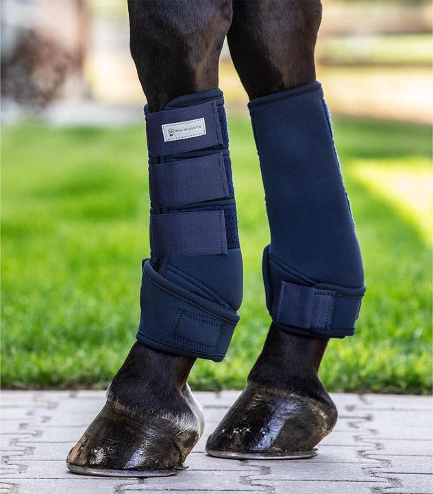Actual product image Waldhausen Protect