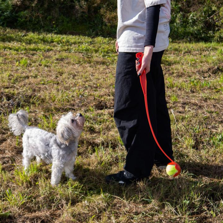 Produktbild Intirilife Hunde Ballschleuder Ballwurfstab (Ballspielzeug Hund)