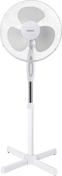 Image du produit Honest Un grand fan de VP 2000