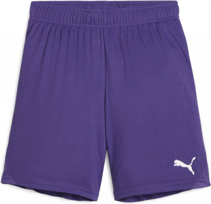 Actual product image Puma teamGOAL Shorts Jr (164)