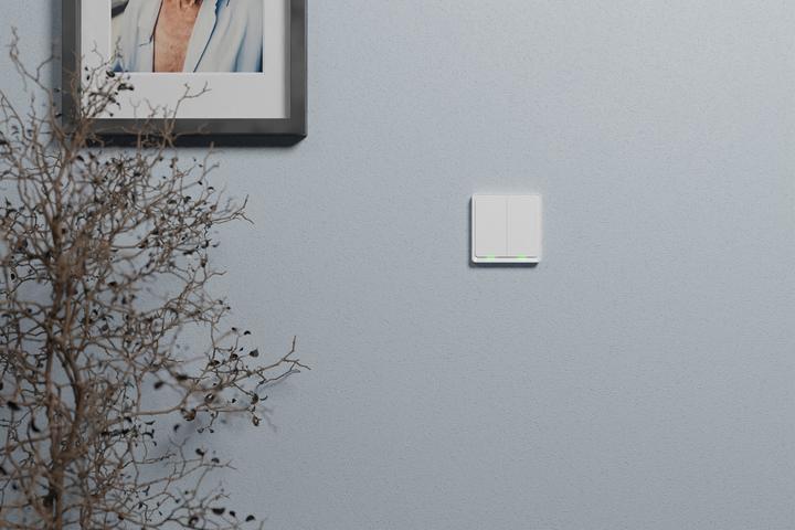 Actual product image Tesla TSL-SWI-ZIGBEE2