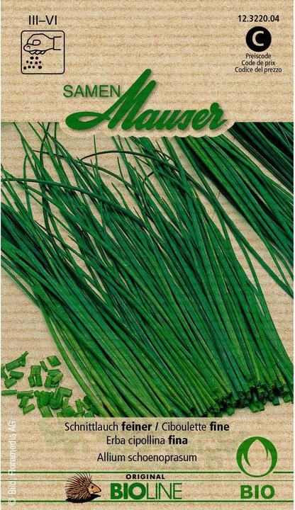 Actual product image Samen Mauser Knospe organic chives finer (Herb seeds)