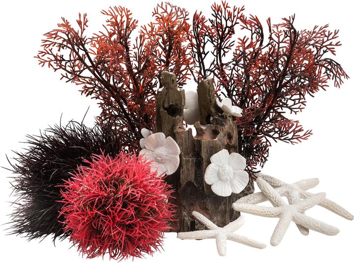 Image du produit Oase BiOrb Aquarium 15 Set décoratif (Décoration, autres éléments)