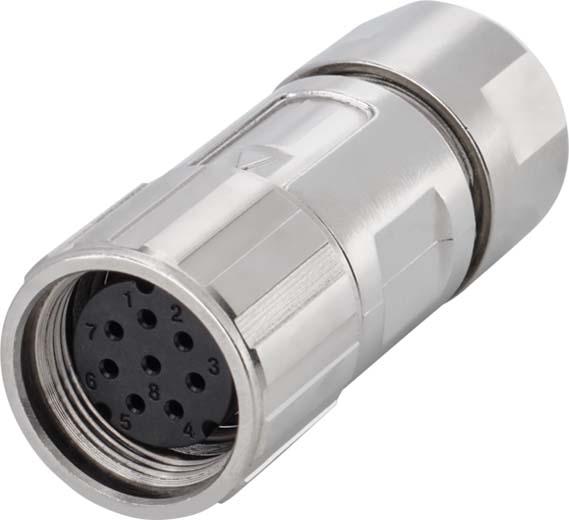 Produktbild Siemens Signalstecker
