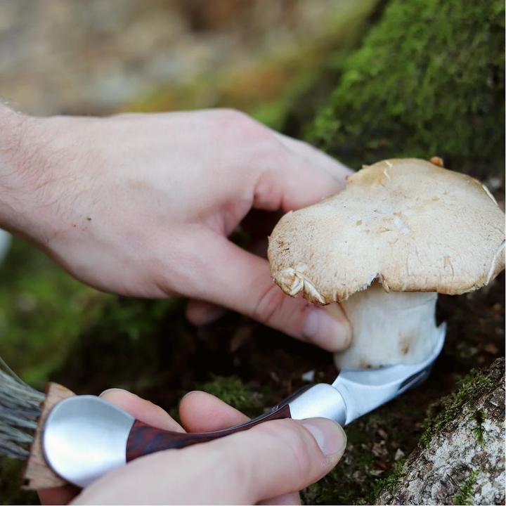 Produktbild Dönges Pilzmesser (8 cm)