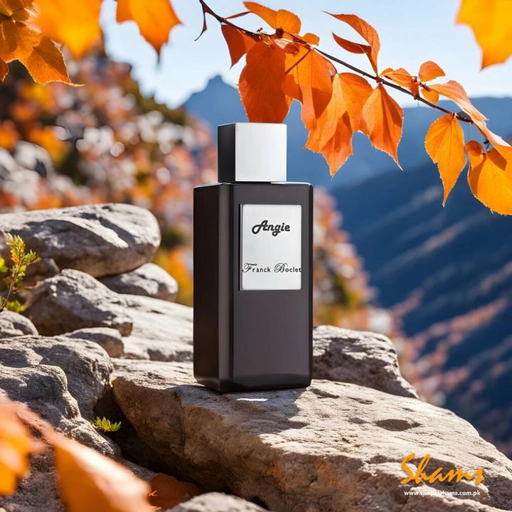 Actual product image Franck Boclet Unisex, Angie Extrait De Parfum 100ml (Eau de parfum, 100 ml)