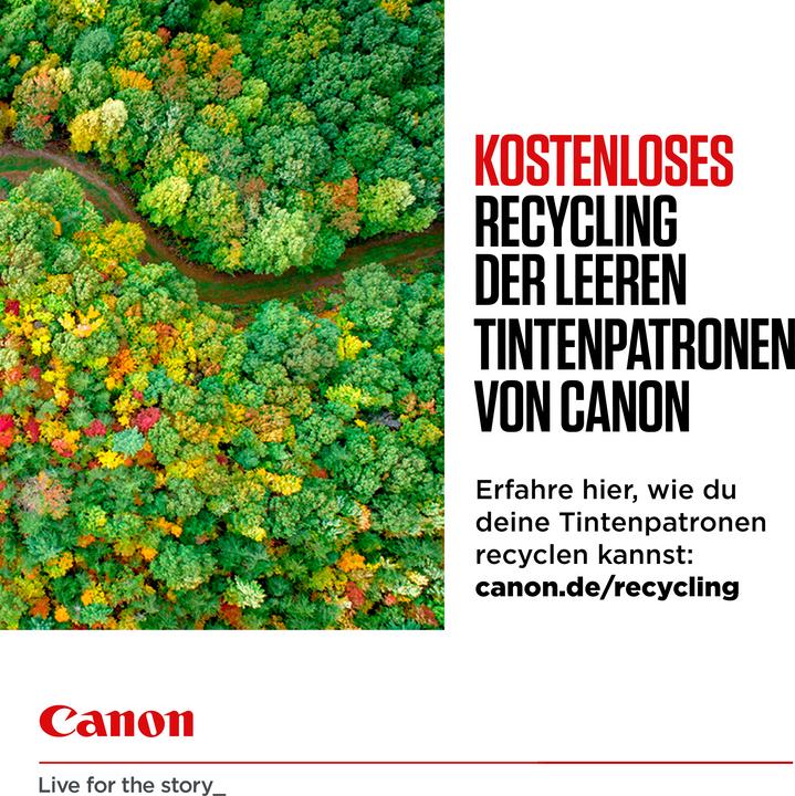 Actual product image Canon Pg-540 (FC)