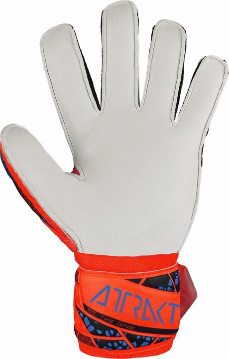 Actual product image Reusch Attract Solid (8)