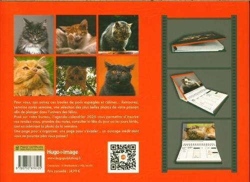 Image du produit Drôles de chats : l'agenda-calendrier 2025 (Français)