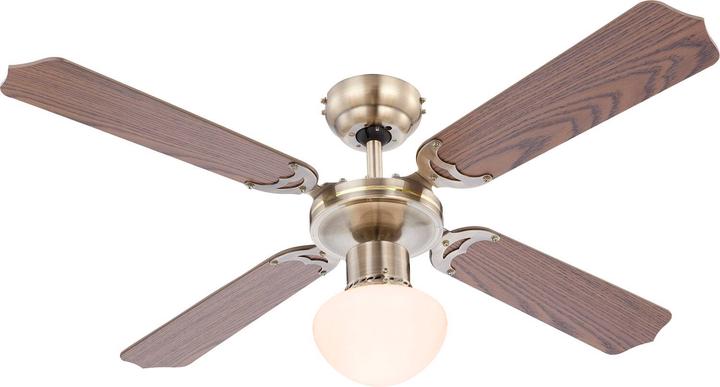 Produktbild Globo Champion (50 dB)