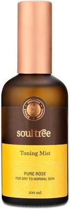 Actual product image Soultree Pure Rose Toning Mist for Dry to Normal Skin 100ml (Tonic water, 100 ml)