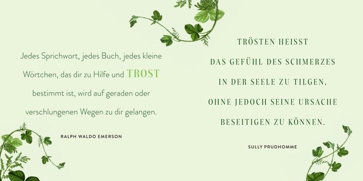 Produktbild Was bleibt, ist die Erinnerung (Deutsch, 2024)