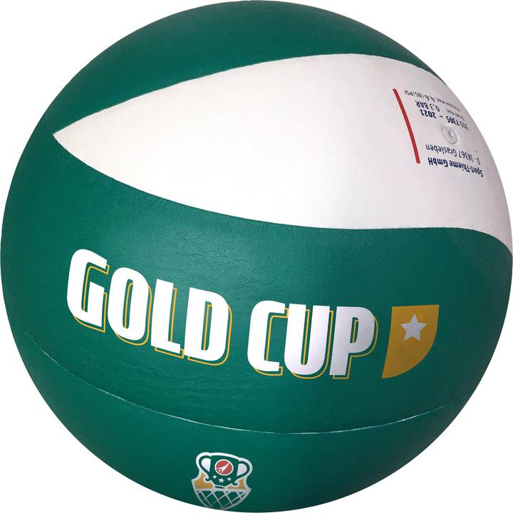 Sport-Thieme Volleyball Gold Cup 2022 (5)