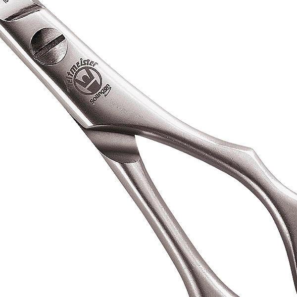 Image du produit Weltmeister Ciseaux à cheveux CD 2000/2001 (15.24 cm)