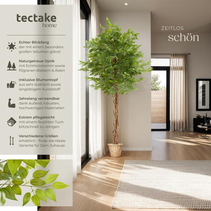 Immagine prodotto tectake Ficusbaum Fida (180 cm)