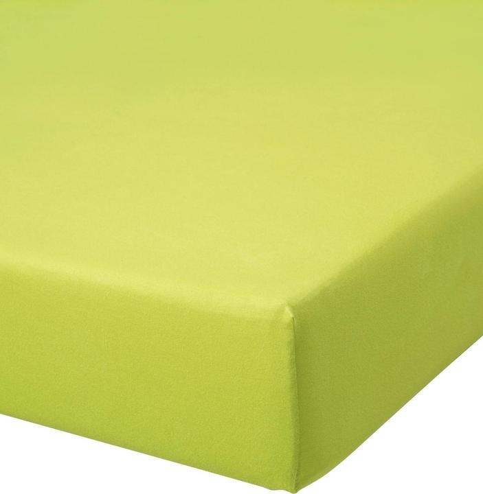 Actual product image Buona Notte Jersey box spring fitted sheet (180-200 x 200 cm)