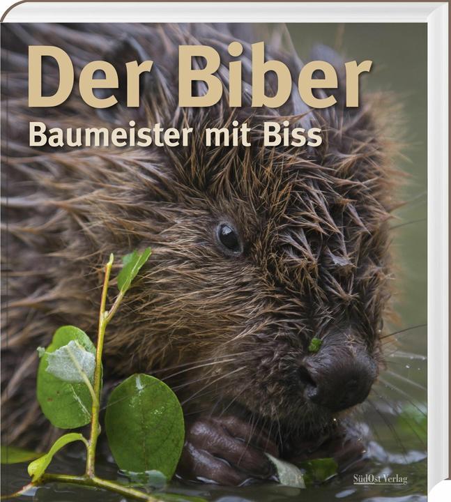 Produktbild Der Biber (Deutsch, Volker Zahner, Gerhard Schwab, Christof Angst, Markus Schmidbauer, 2021)