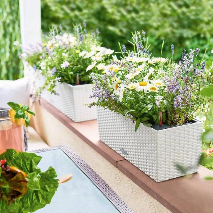 Immagine prodotto Lechuza Balconera Cottage (19 cm)