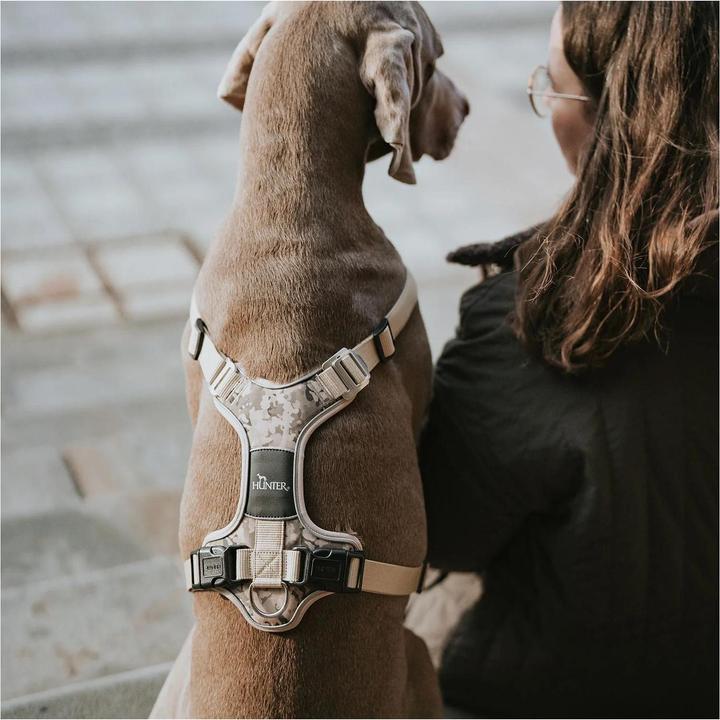 Immagine prodotto Hunter Pettorina mimetica Divo per cani Beige M (M, Cane)