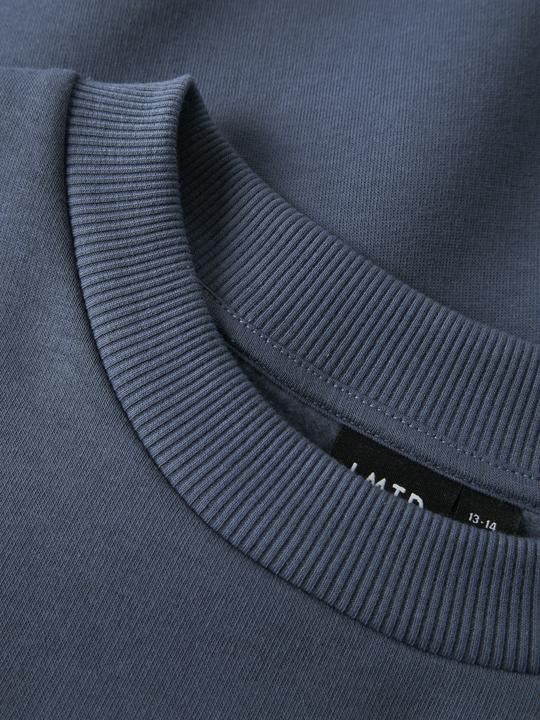 Produktbild Lmtd Langarm Sweatshirt (146)
