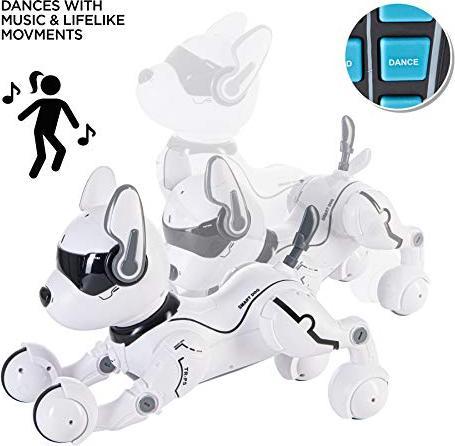 Actual product image Top Race Robot dog