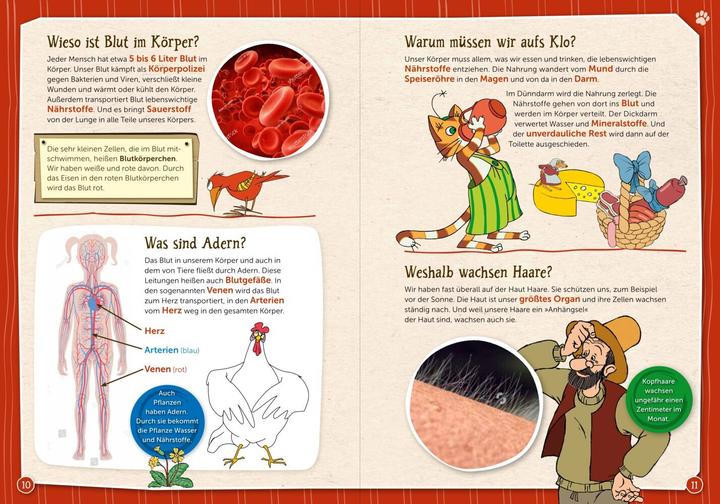 Produktbild Pettersson und Findus - Kleiner Kater, grosse Fragen (Deutsch, Sven Nordqvist, 2023)