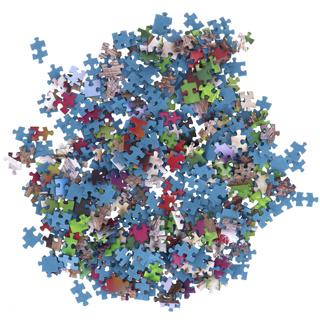 Actual product image Ravensburger Puzzle Cats 2 x 500 pieces (500 pieces)