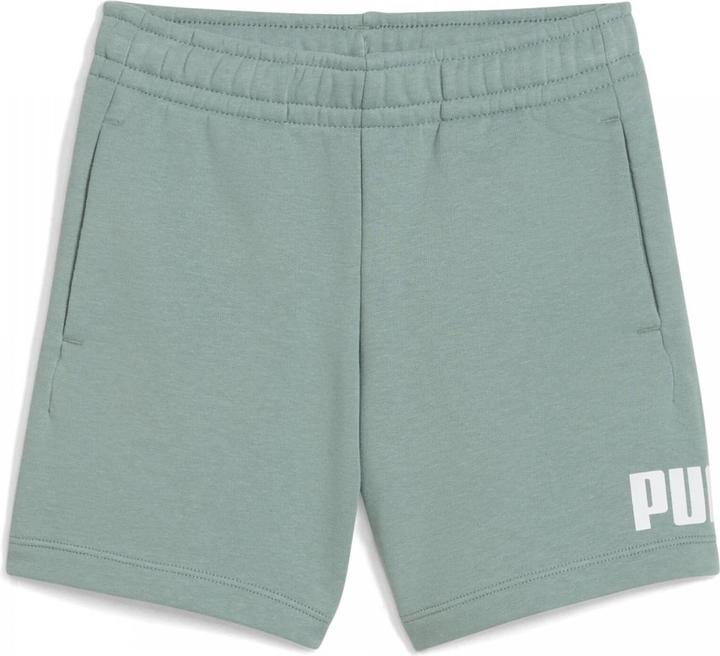 Image du produit Puma ESS No. 1 Logo Shorts TR PS (98)