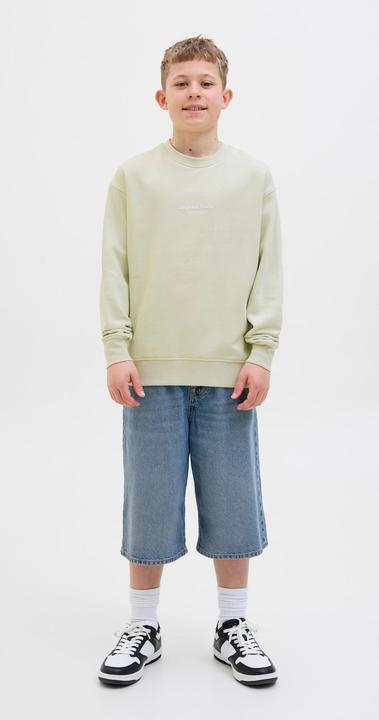 Actual product image Jack & Jones Gedruckt Sweatshirt Junior Sweatshirt (152)