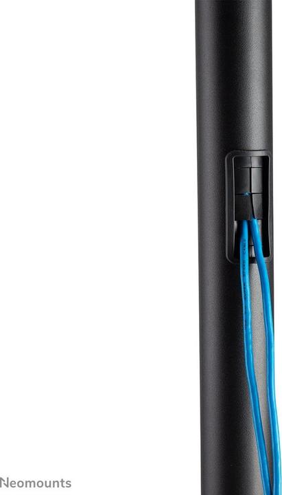 Immagine prodotto Neomounts FL50-540BL1 (Universale, 70", 50 kg)