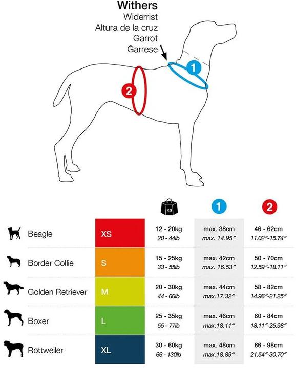 Actual product image Curli Harness Magnetic Belka Comfort (M, Dog, General)