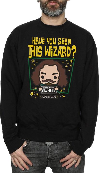 Sirius Black Azkaban Junior Sweatshirt (L)
